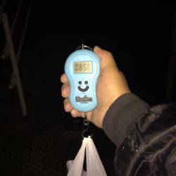 謹賀新年あけましておめでとうございます