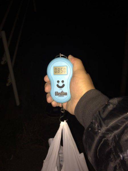 謹賀新年あけましておめでとうございます