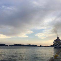 サゴシ 日和 新宮港にて