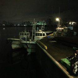 今年初のメバリング