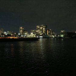 寒すぎてメバリング断念(>_<)