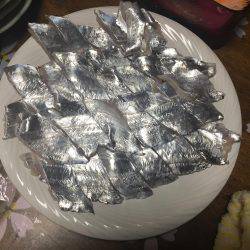 えー!この季節に!陸っぱりからタチウオ爆釣!