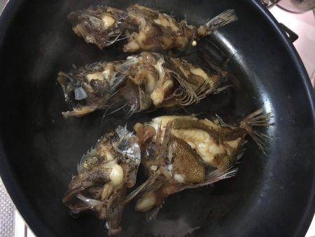 大寒波、暴風でもライトゲーム