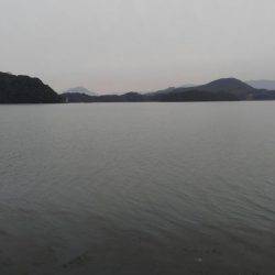 やっと釣れたー