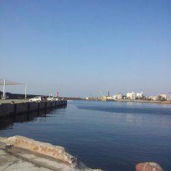 初釣りはちょい投げ