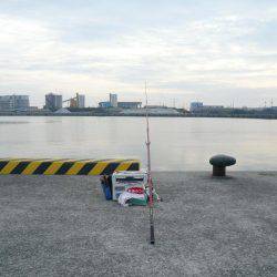 初釣行でダブル、トリプルと最高の釣果でした