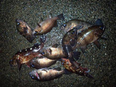 風＆ウネリに苦戦！