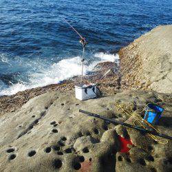 こんなん出ました・・・グレ