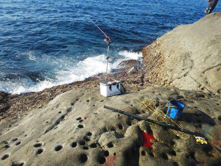 こんなん出ました・・・グレ