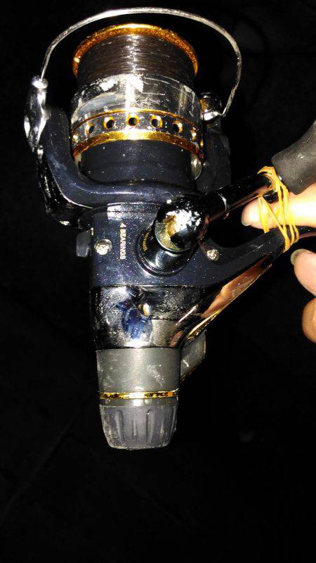 ヤエンでアオリイカ