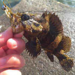 雪降りアナダート!