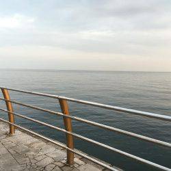 年明け淡路島釣行！