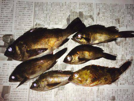 爆風メバリング