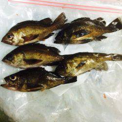 フロートリグで