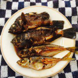 メバリングとアジング