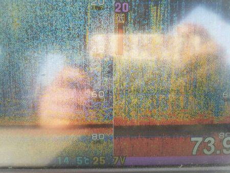 遊漁船　ニライカナイ 釣果