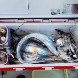 遊漁船 ニライカナイ 釣果