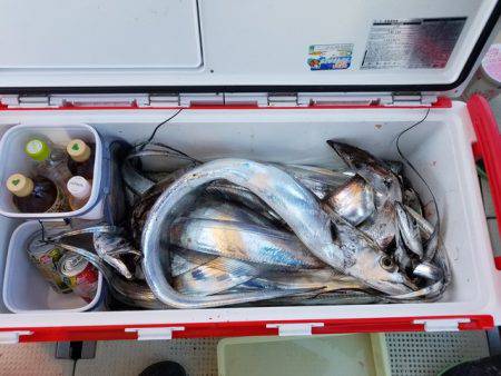 遊漁船 ニライカナイ 釣果