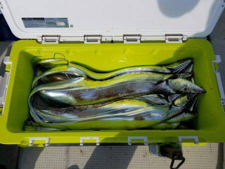 遊漁船 ニライカナイ 釣果