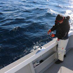 へいみつ丸 釣果