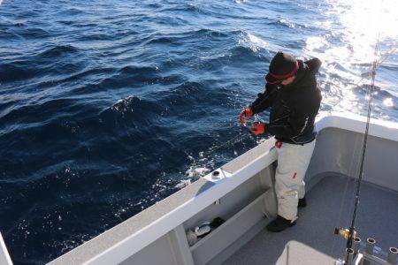 へいみつ丸 釣果
