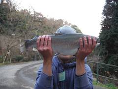 すそのフィッシングパーク 釣果