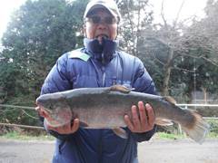 すそのフィッシングパーク 釣果