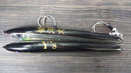 Ｙ’ｓ 釣果