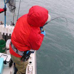 スカイマリン 釣果