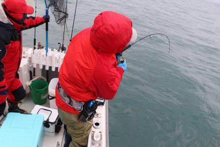 スカイマリン 釣果