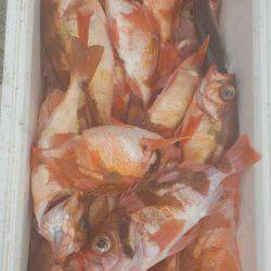 第三隆栄丸 釣果