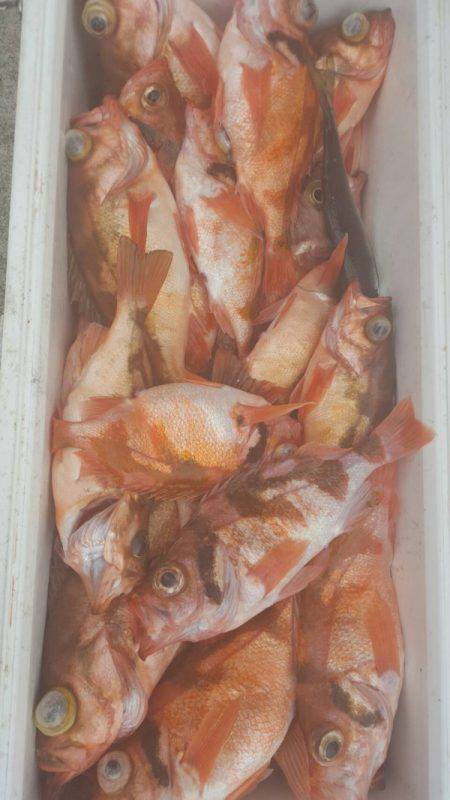 第三隆栄丸 釣果