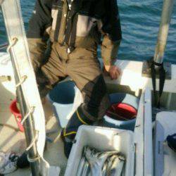 釣り船くわだ 釣果