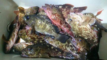 釣り船武蔵 釣果