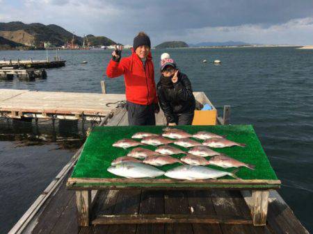 由良海上釣り堀 海人 釣果