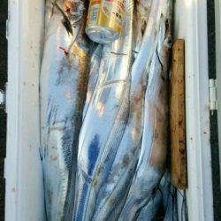 釣り船くわだ 釣果