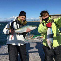 由良海上釣り堀 海人 釣果