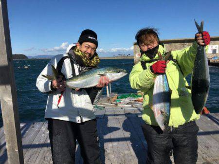 由良海上釣り堀 海人 釣果