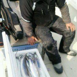 釣り船くわだ 釣果