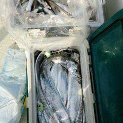 釣り船くわだ 釣果