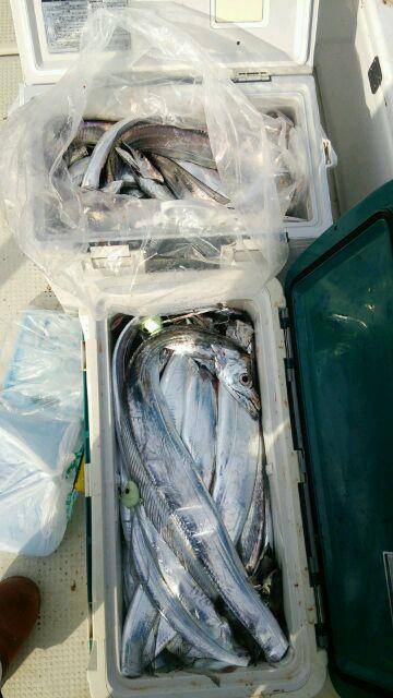 釣り船くわだ 釣果