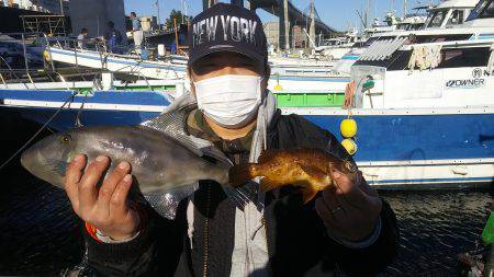 もと明丸 釣果