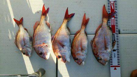 釣り船くわだ 釣果