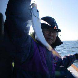 あい川丸 釣果