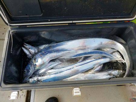 遊漁船　ニライカナイ 釣果