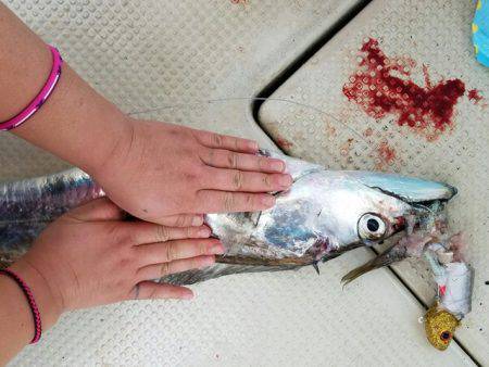 遊漁船　ニライカナイ 釣果