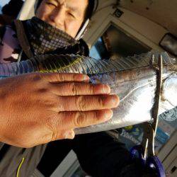 遊漁船　ニライカナイ 釣果