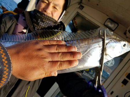 遊漁船　ニライカナイ 釣果