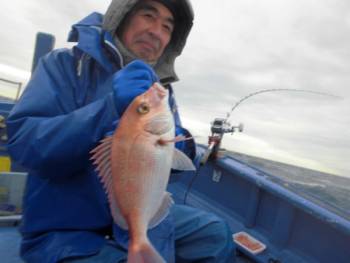 鯛紅丸 釣果