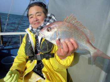 鯛紅丸 釣果